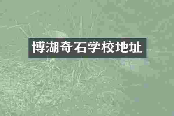 博湖奇石学校地址