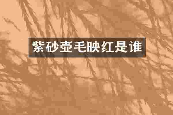 紫砂壶毛映红是谁
