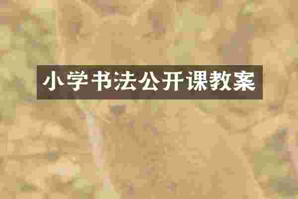 小学书法公开课教案