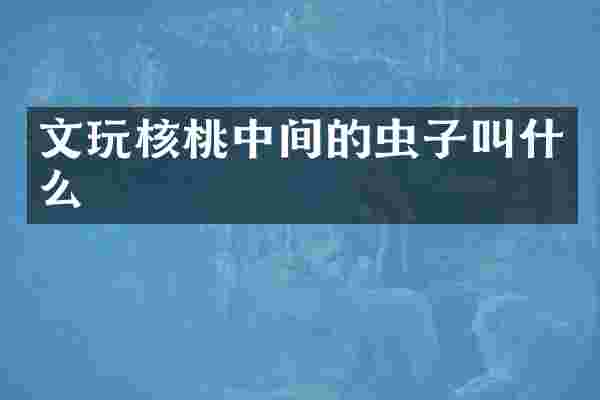 文玩核桃中间的虫子叫什么
