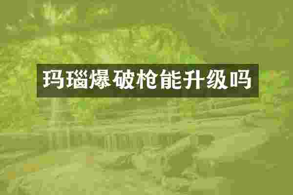 玛瑙爆破能升级吗