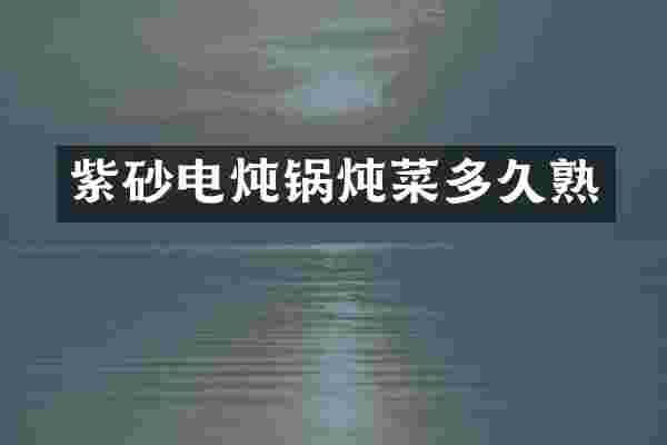 紫砂电炖锅炖菜多久熟