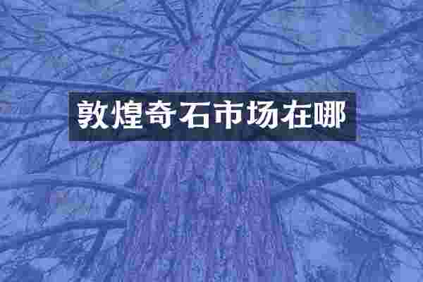 敦煌奇石市场在哪