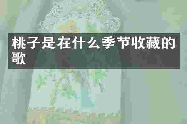 桃子是在什么季节收藏的歌