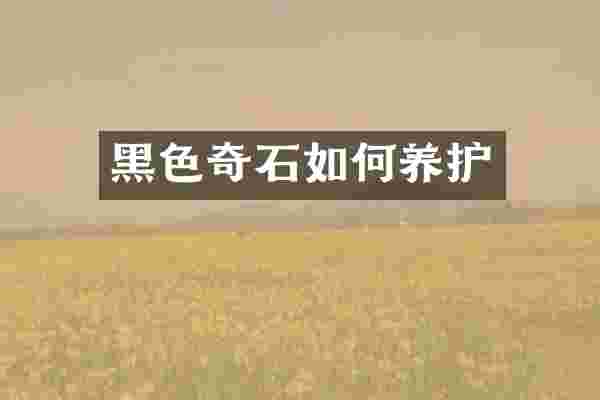 黑色奇石如何养护