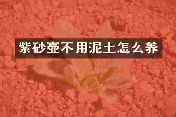 紫砂壶不用泥土怎么养