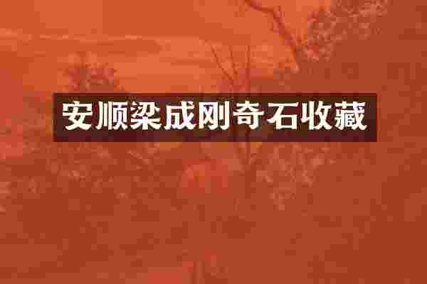 安顺梁成刚奇石收藏