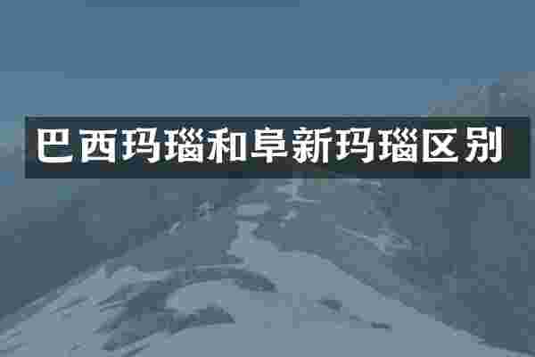 巴西玛瑙和阜新玛瑙区别