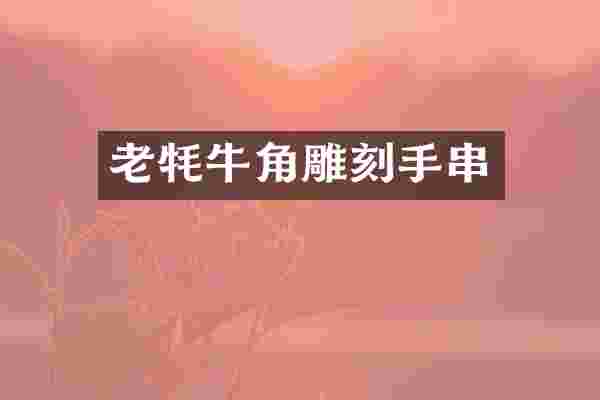 老牦牛角雕刻手串