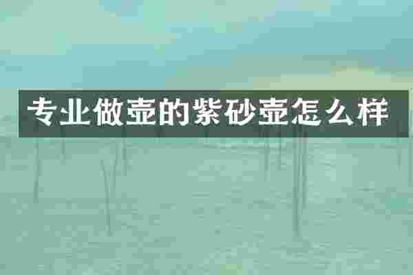 专业做壶的紫砂壶怎么样