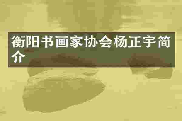 衡阳书画家协会杨正宇简介