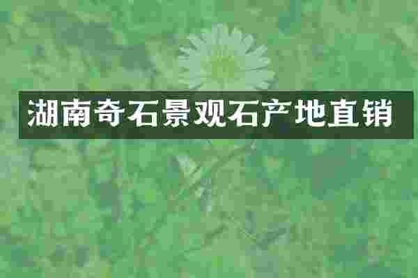湖南奇石景观石产地直销