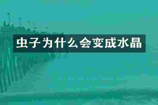 虫子为什么会变成水晶