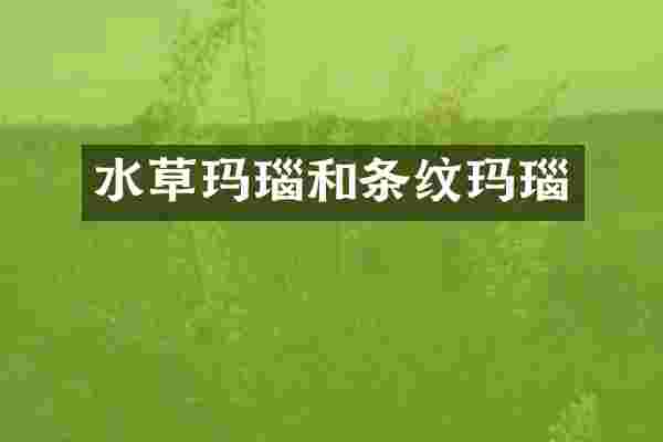 水草玛瑙和条纹玛瑙