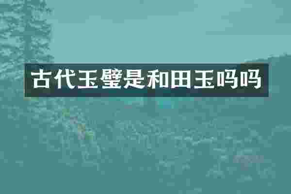 古代玉璧是和田玉吗吗