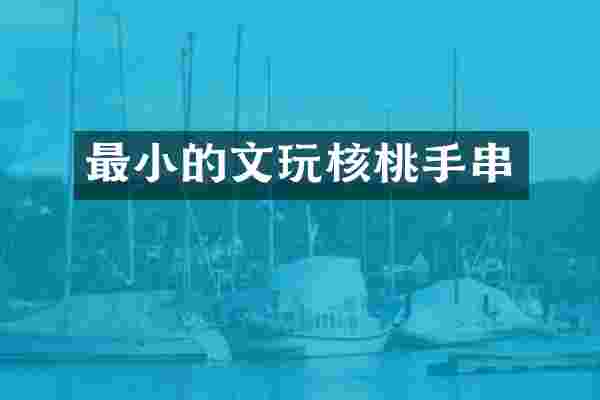 最小的文玩核桃手串