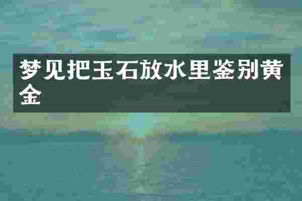 梦见把玉石放水里鉴别黄金