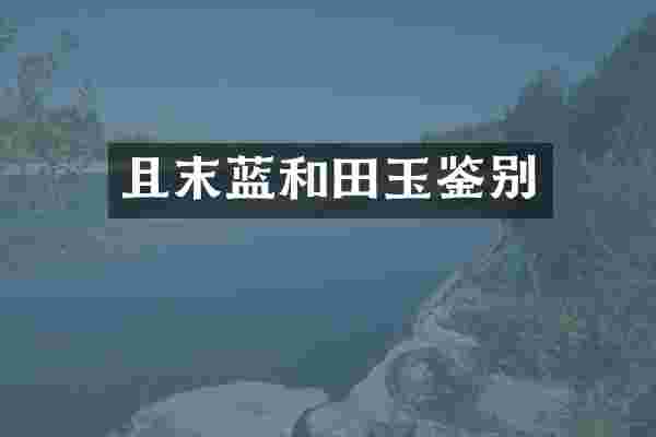 且末蓝和田玉鉴别
