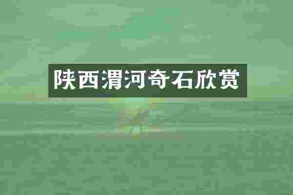陕西渭河奇石欣赏