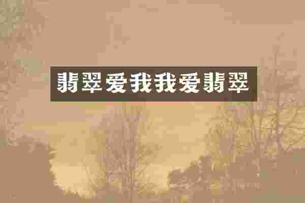 翡翠爱我我爱翡翠