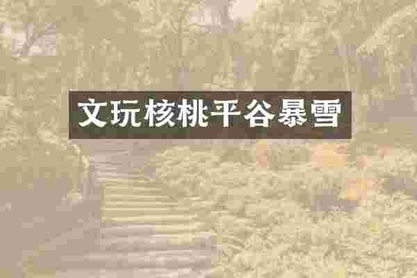 文玩核桃平谷暴雪