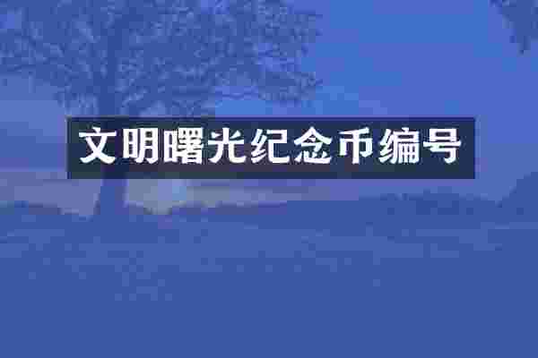 文明曙光纪念币编号