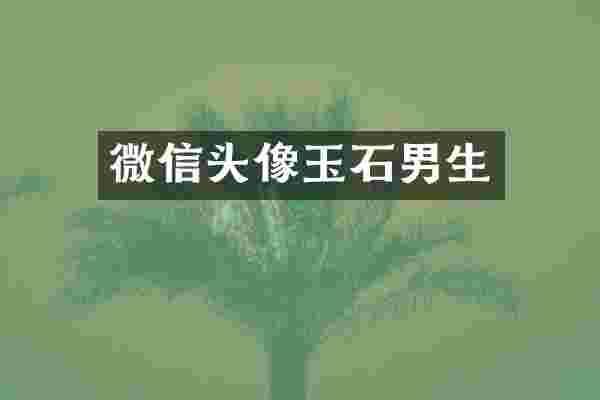 微信头像玉石男生