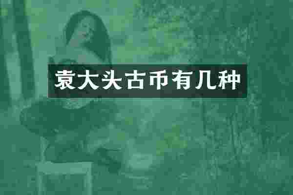 袁大头古币有几种