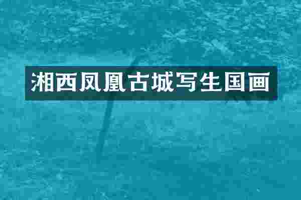 湘西凤凰古城写生国画