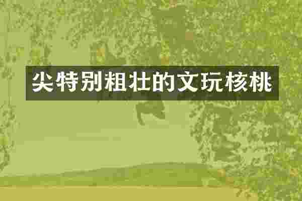 尖特别粗壮的文玩核桃
