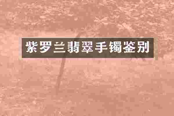 紫罗兰翡翠手镯鉴别