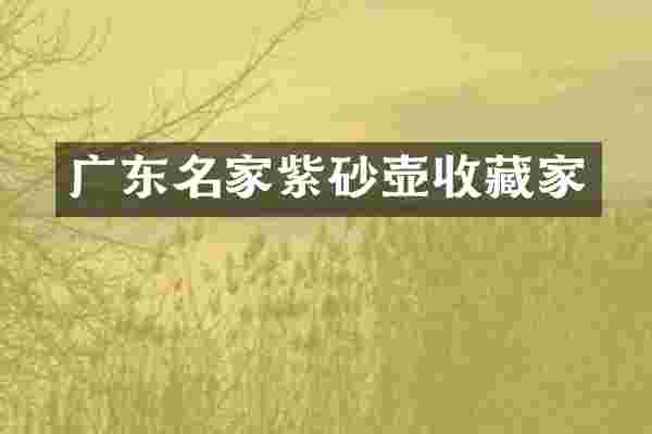广东名家紫砂壶收藏家