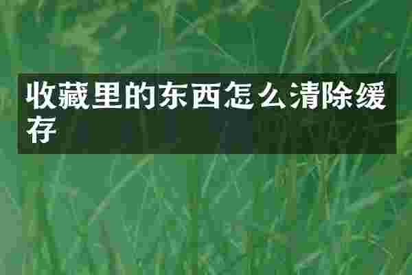收藏里的东西怎么清除缓存
