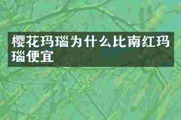 樱花玛瑙为什么比南红玛瑙便宜