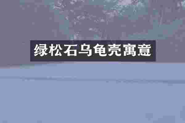 绿松石乌龟壳寓意