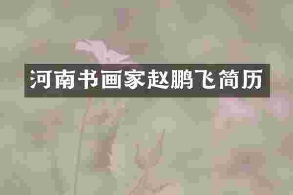 河南书画家赵鹏飞简历