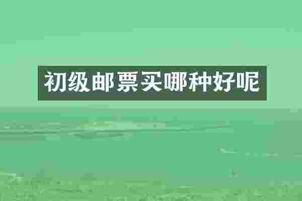 初级邮票买哪种好呢