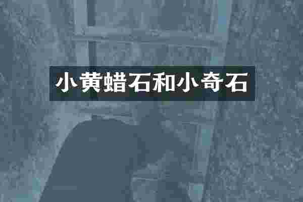 小黄蜡石和小奇石