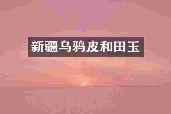 新疆乌鸦皮和田玉