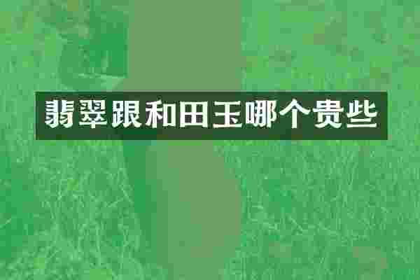 翡翠跟和田玉哪个贵些