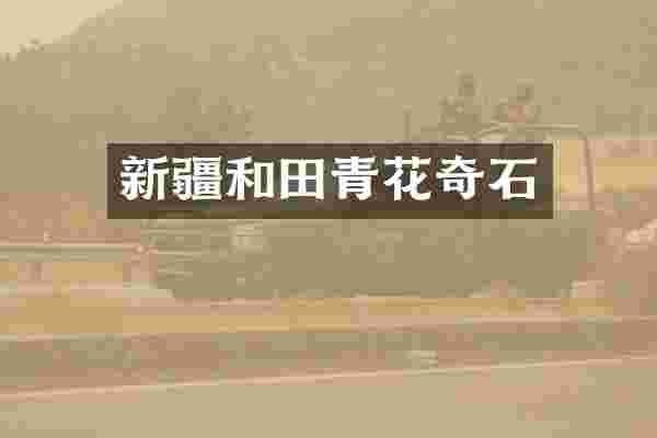 新疆和田青花奇石