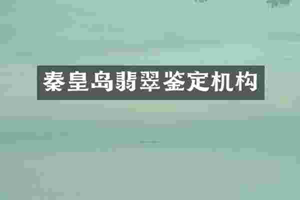 秦皇岛翡翠鉴定机构