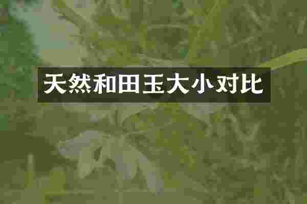 天然和田玉大小对比