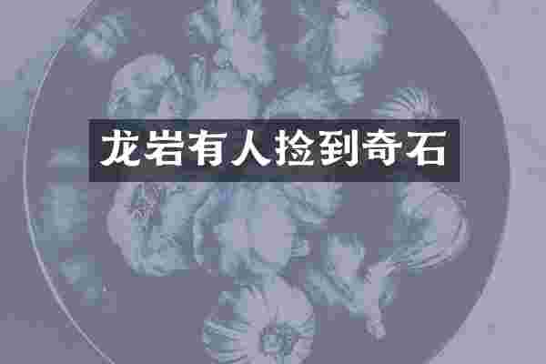 龙岩有人捡到奇石