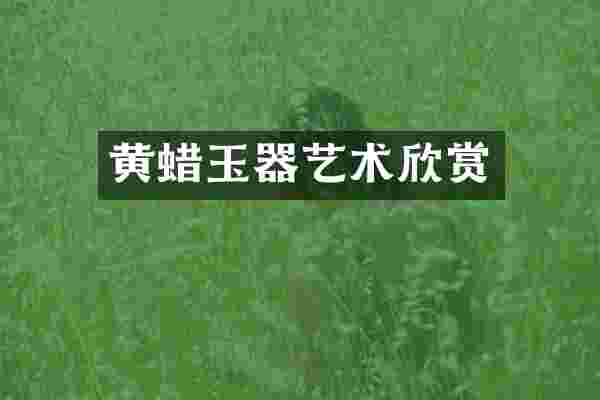 黄蜡玉器艺术欣赏