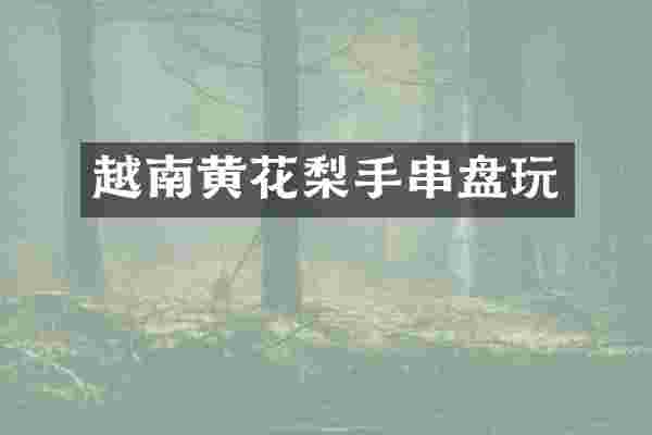 越南黄花梨手串盘玩