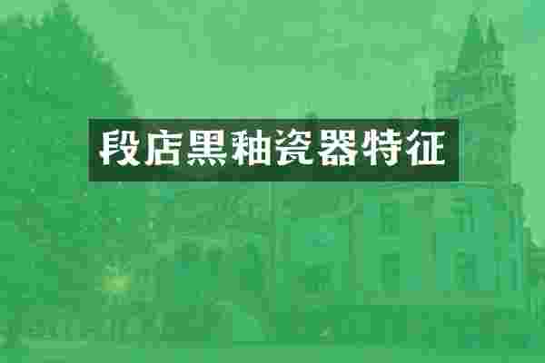 段店黑釉瓷器特征