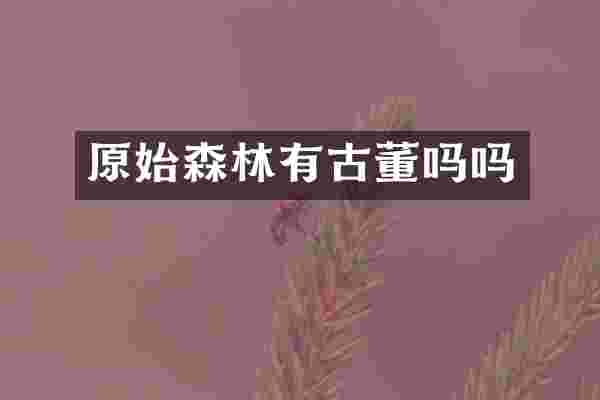 原始森林有古董吗吗