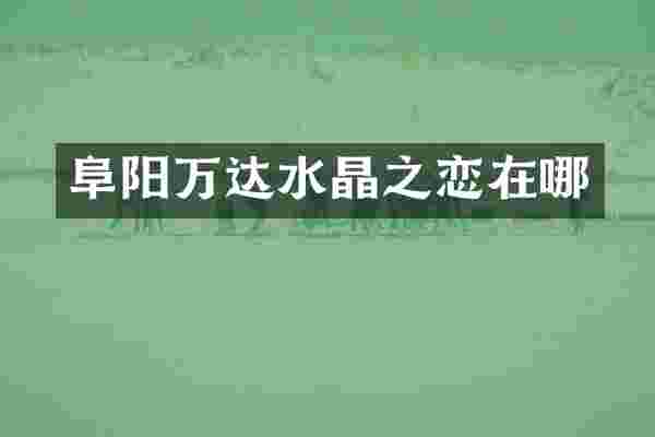 阜阳万达水晶之恋在哪
