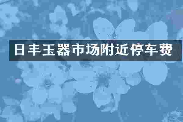 日丰玉器市场附近停车费